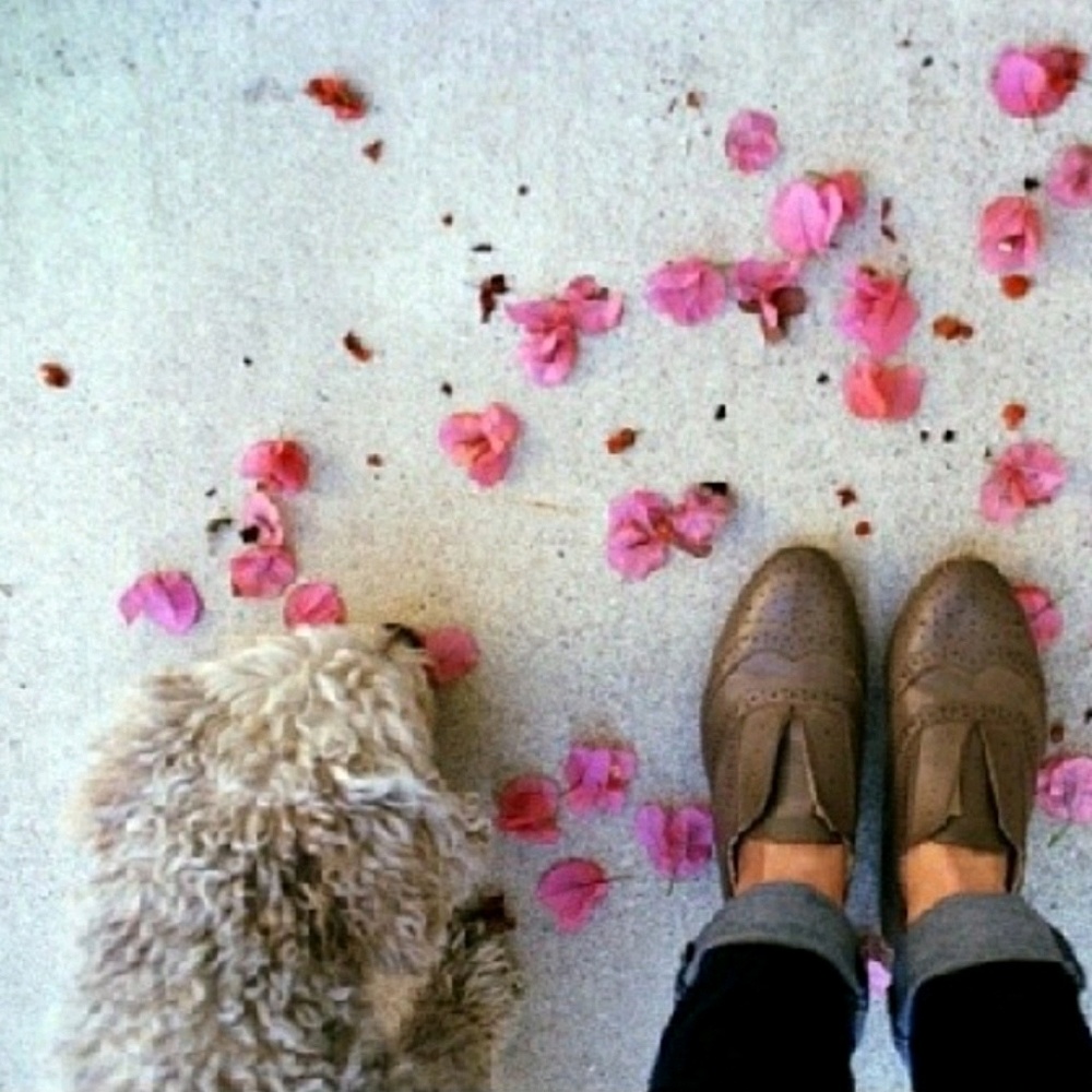 Meet your Posher, Alisbeth